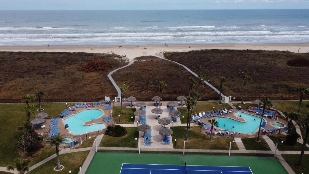 Beachfront Resort With Heated Pool Saida Royale 9039 Саут-Падре-Айленд Екстер'єр фото